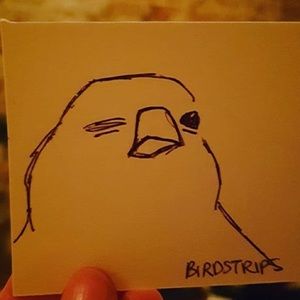 Meet your Posher, Angel